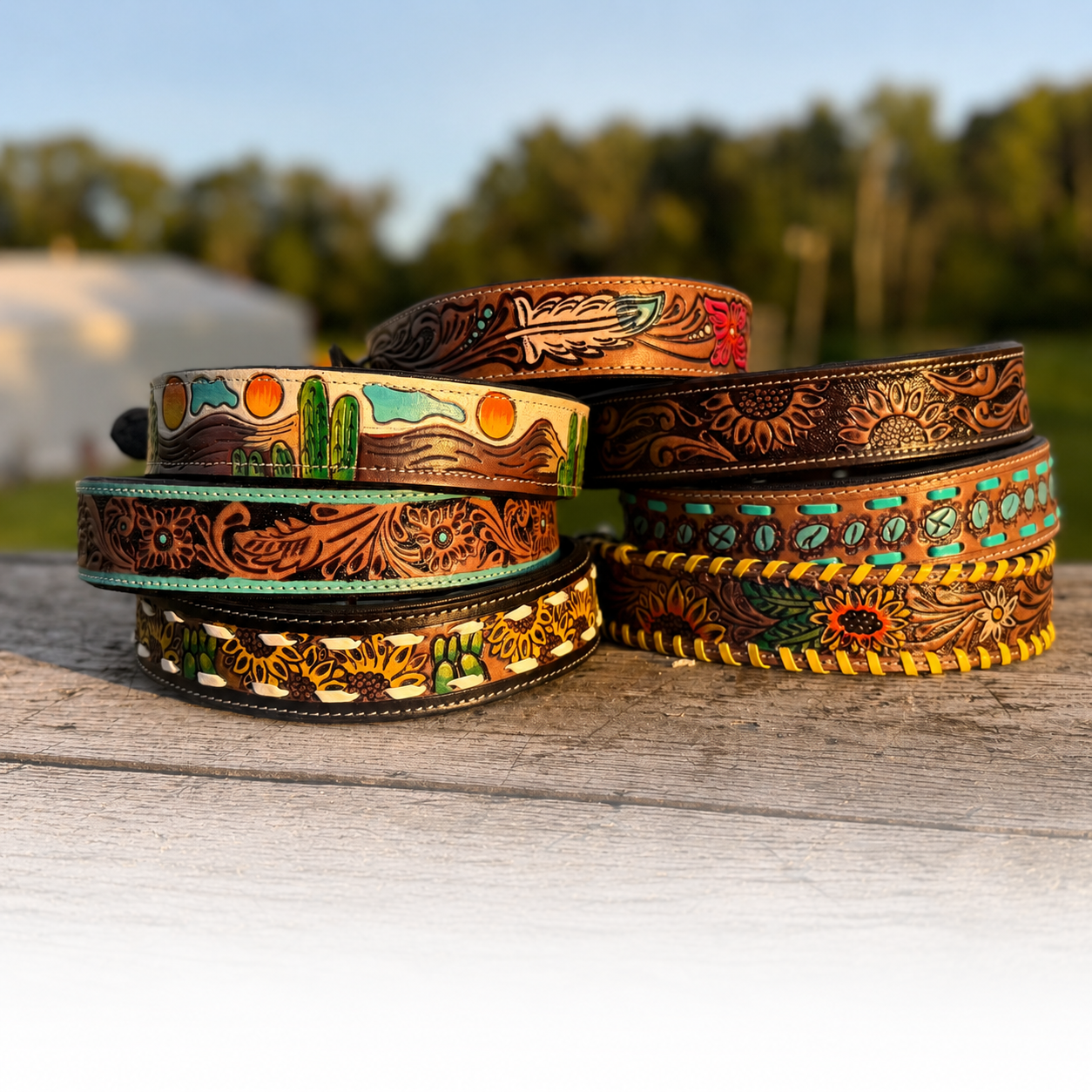 Pet Accessories